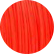 Red Dragon
